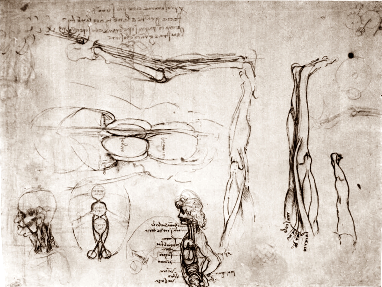 Leonardo+da+Vinci-1452-1519 (746).jpg